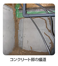白アリの蟻道 シロアリの蟻道