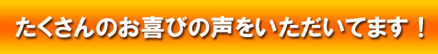 お客様の声 シロアリ駆除にたくさんの声をいただいています。